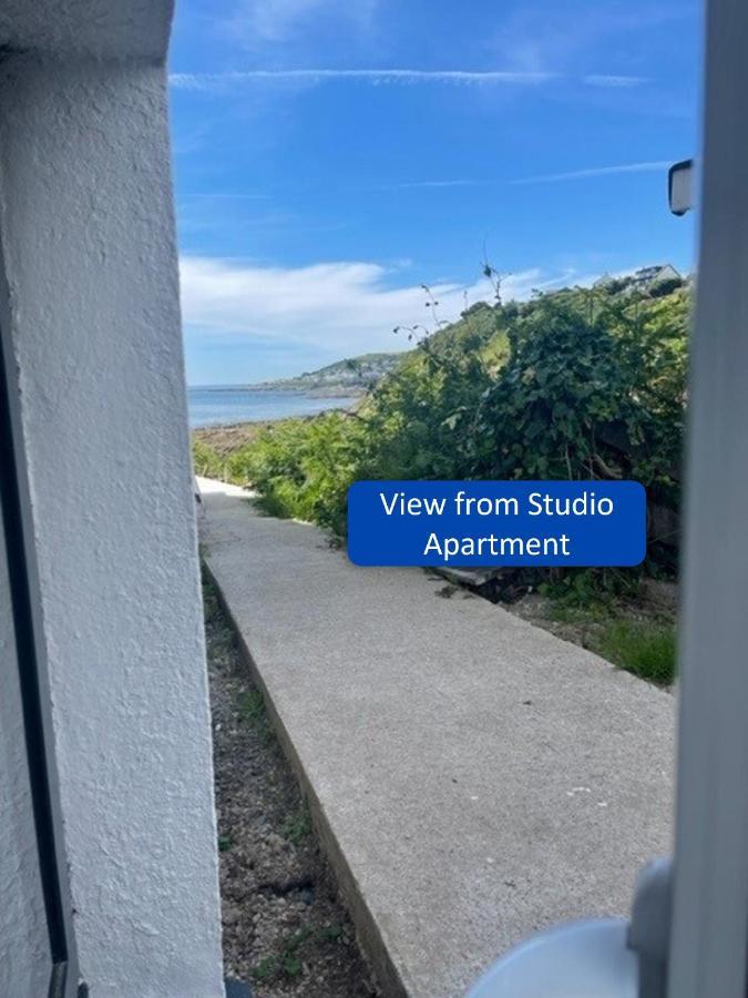 Ocean View Appartement Looe
